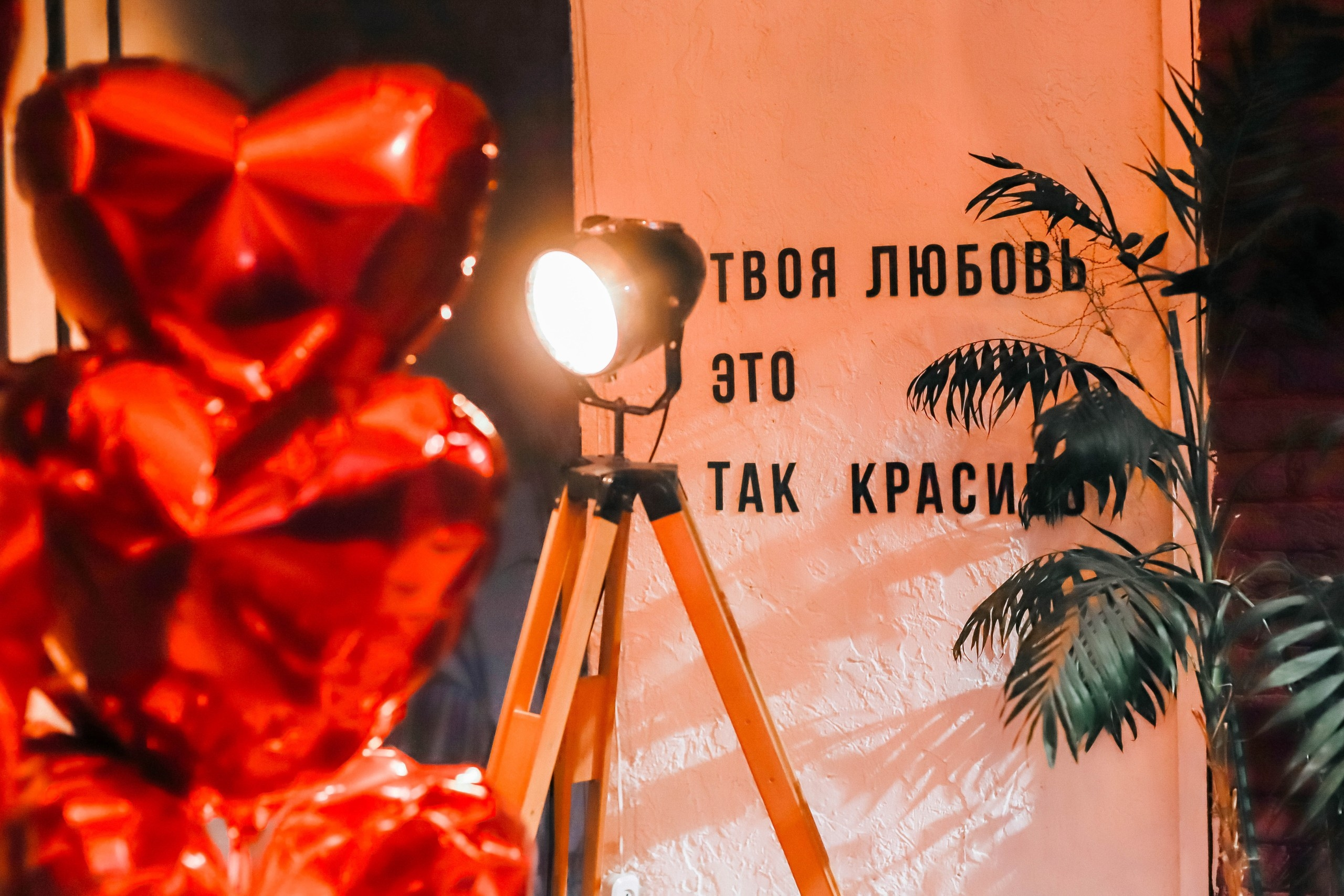 Студия